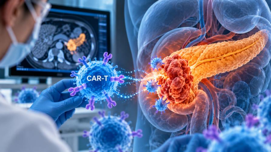 Может ли CAR-T-терапия открыть новые возможности в лечении рака поджелудочной железы?
